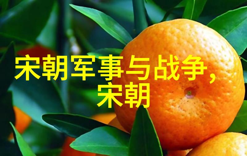 宋代时代特征总结北国风情与南方繁华