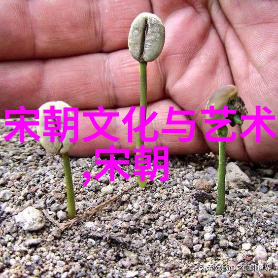 忽必烈帝国的巅峰与辉煌