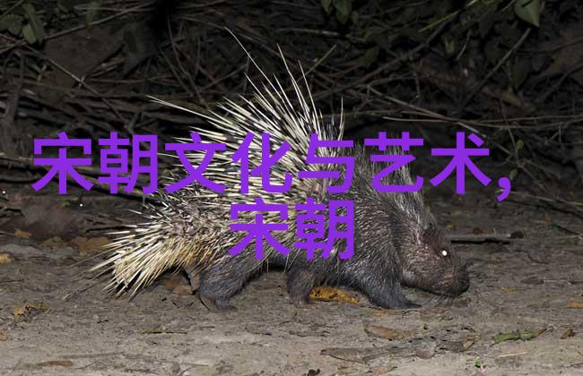 宋朝时期的邻国与贸易伙伴北方的辽国南方的楚州东边的金国西部的大理