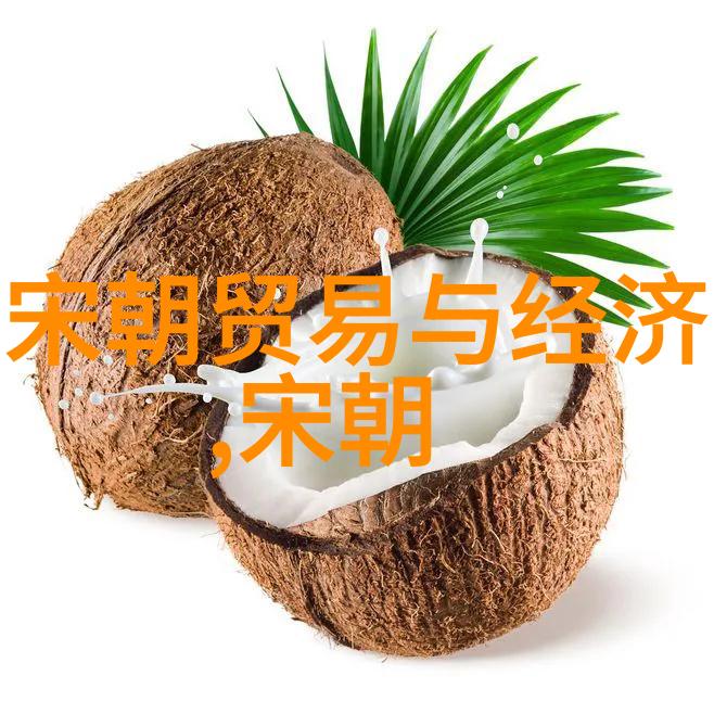 宋朝算大一统的王朝吗-宋代帝权与国度探索大一统的历史考量