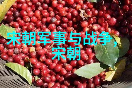 黄梅戏天仙配徐志远的旋律之旅
