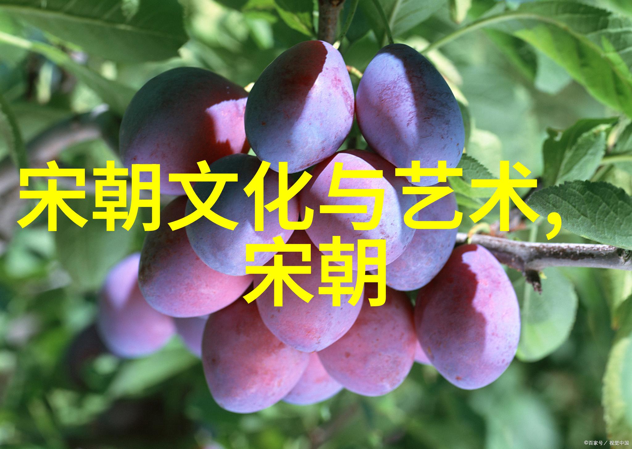 明朝那些事儿完整版mp3我是如何听懂了明朝那些事儿的