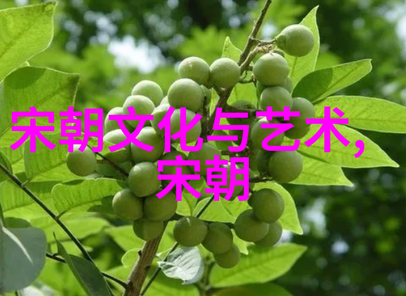 中国历史朝代变化视频-穿越时空探秘中国历朝变迁