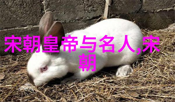 历史明朝 排名顺序 - 明代帝王的宝座权力争夺与统治秩序