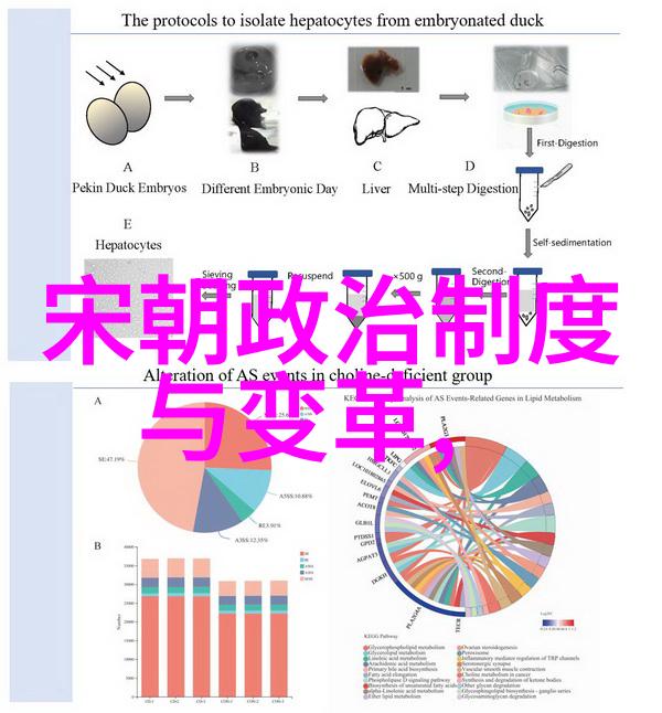 黄梅戏艺术节第六届文化如龙卷风般席卷世间卖油郎的传奇故事成为其最耀眼的明珠