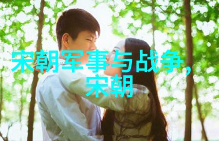 土木堡之战详解明清边界冲突的关键战役