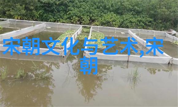 音乐之声艺术表现形式中的旋律和节奏