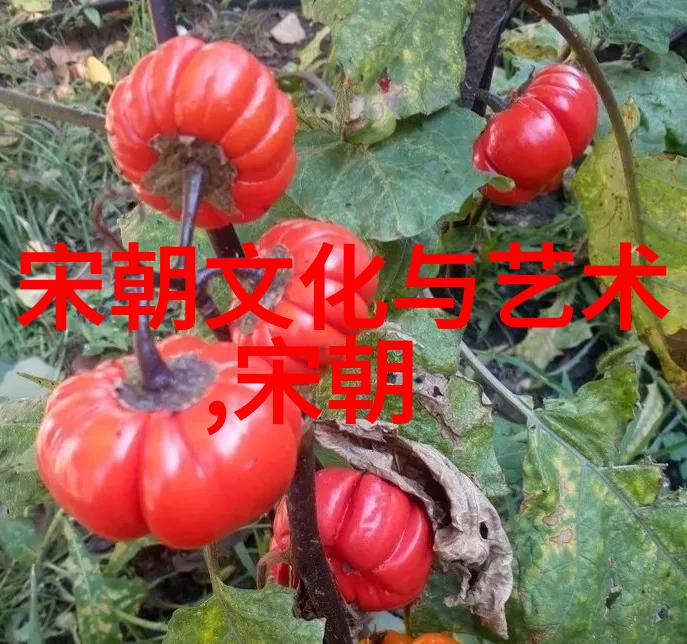 绣花录朱允文妻子的沉默