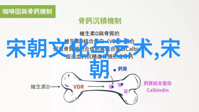 中国历史文化朝代顺序表中华文明的辉煌历程