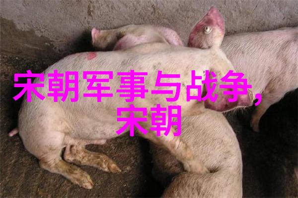 明朝帝王盛衰录揭秘历代君主的成就与挫折