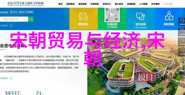 中国智慧的体现中华文化的深度之谜