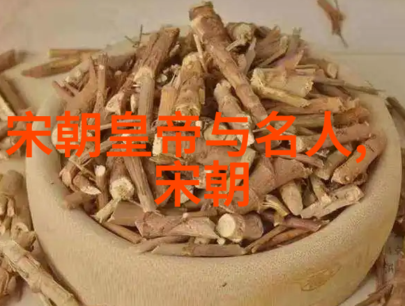 艺术家的创作世界展现与探索