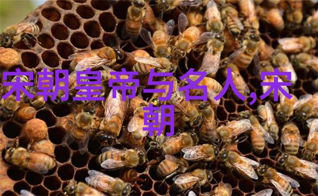 古韵未来中国文化艺术的奇迹之旅