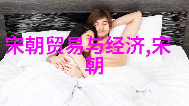 明朝秘录穿越烟云中的皇权之谜