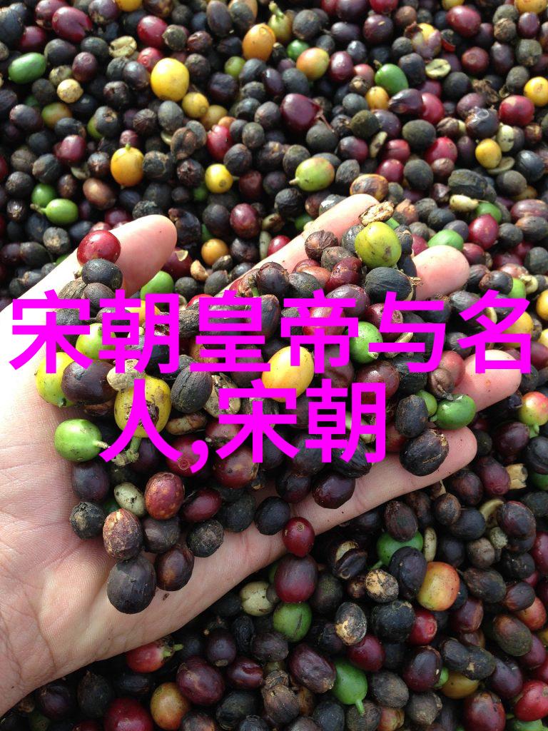 明朝最厉害的龙影凌霄之才高八斗
