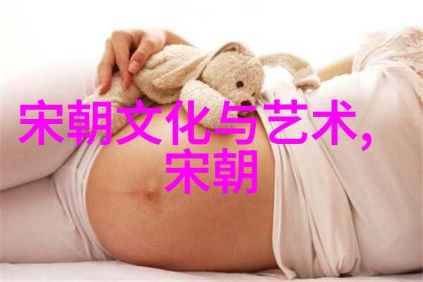 明朝电视剧-龙的传人明末风云