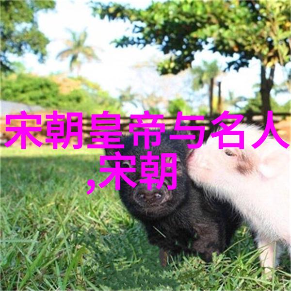 向敏中