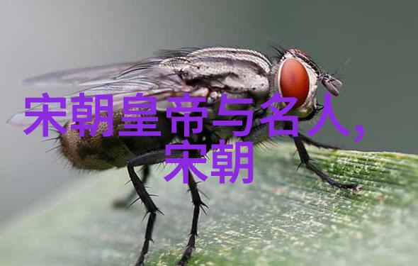 明朝皇帝列表明朝的所有皇帝名单