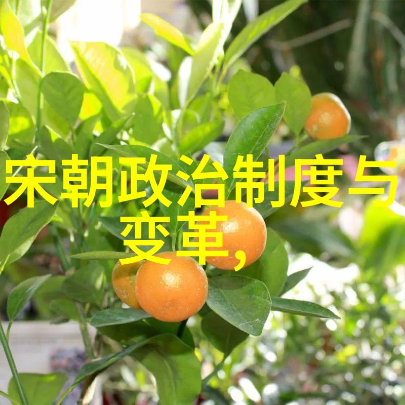 明朝的兴衰与变革一场历史的沉浮