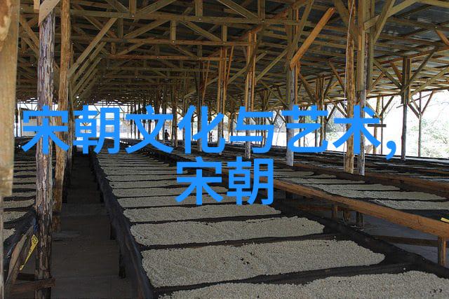 回望明朝思索历史读后感的深度探究