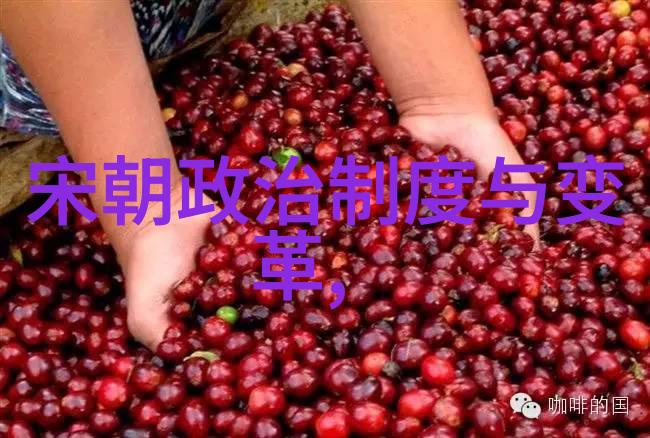 黄梅戏天仙配全集乔志良的传奇之旅