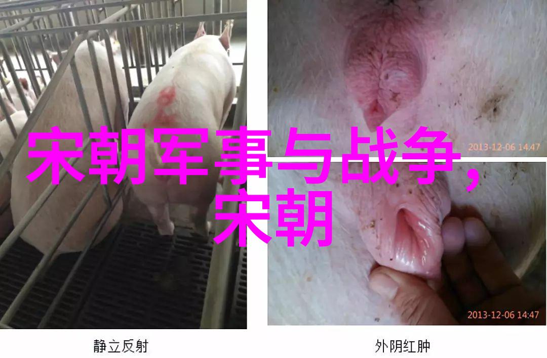 赵孟頫在艺术上为南宋留下了哪些宝贵遗产