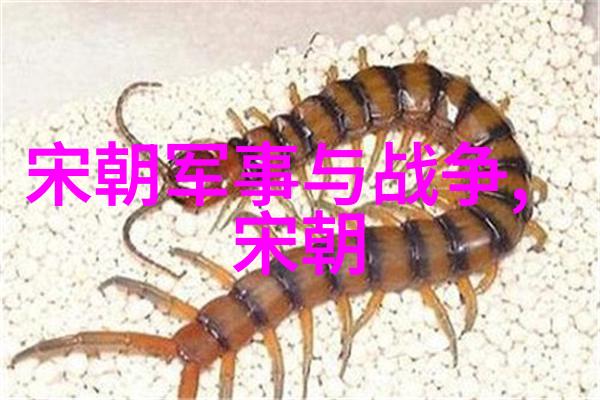 宋朝经济发展之谜为何吸引了众多专家的研究兴趣