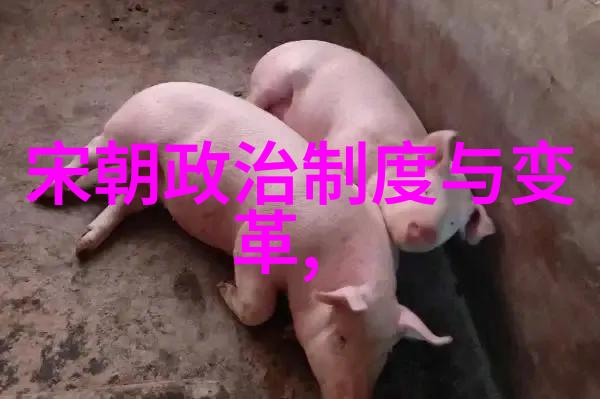 不被承认的12个朝代历史上的速不台