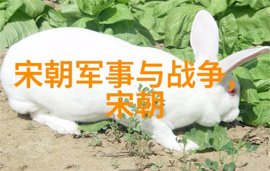 程学勤孟丽君黄梅戏音乐工作者的魅力与成就