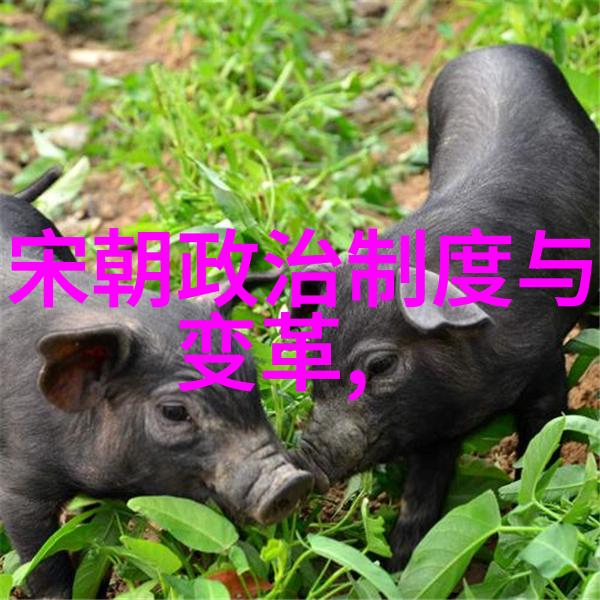 赵兵伟朝阳沟艺术江湖的主角演绎着豫剧票友的传奇故事