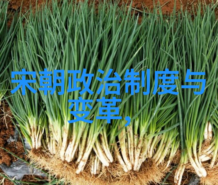 免费听明朝那些事儿-清风徐来细语中让历史活起来探秘免费听明朝那些事儿之魅力