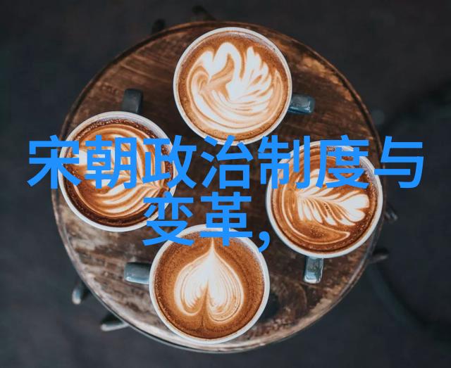 专家之言宋朝的辉煌与学者们的赞颂