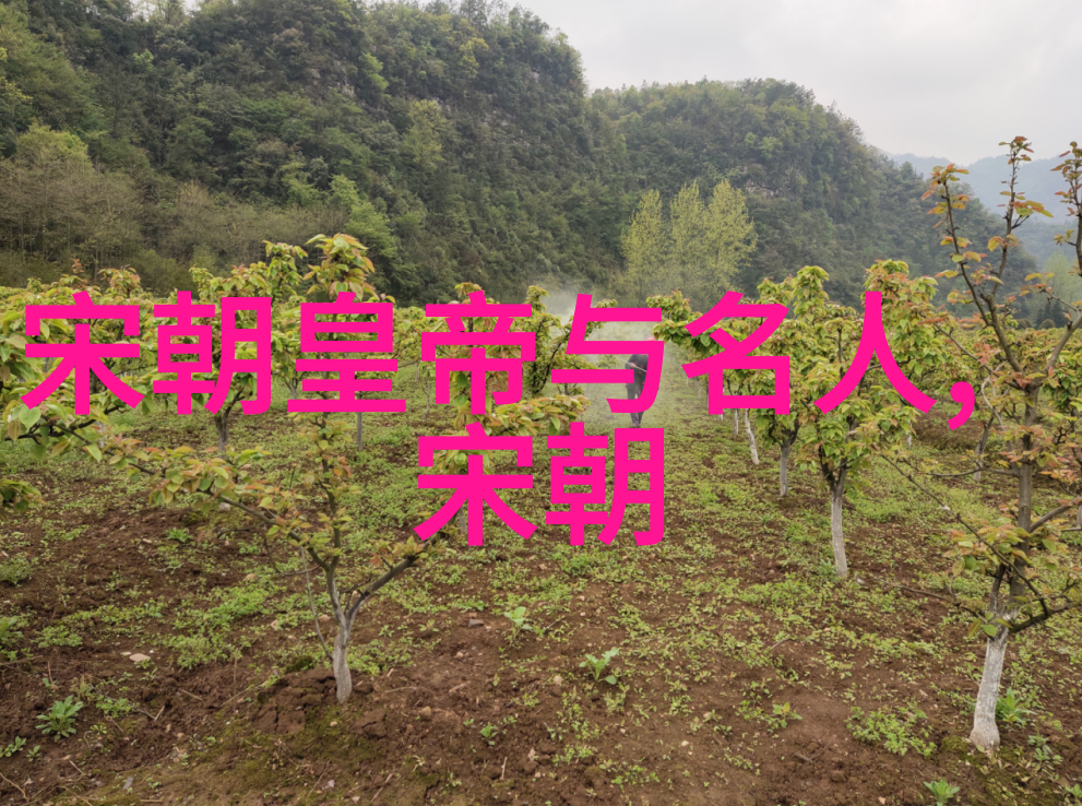 历史的遗漏辽金朝为什么未被编入正统史书