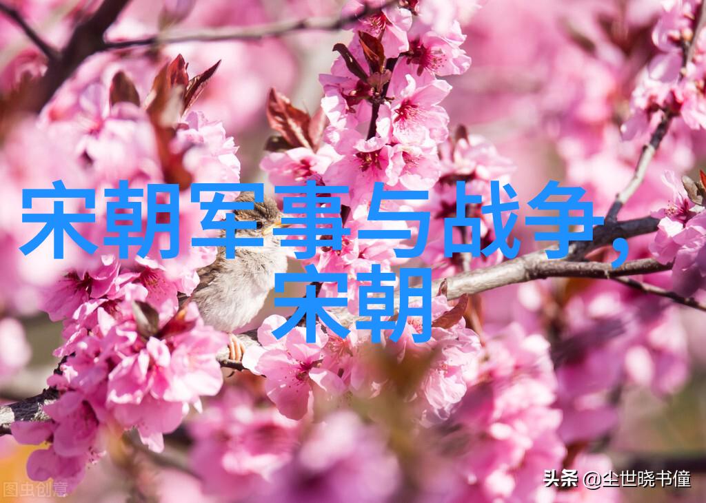 宋朝历史成就文治与武功的辉煌篇章