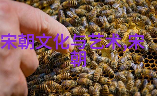 在抵御日本入侵过程中明军曾经取得过哪些关键性的胜利