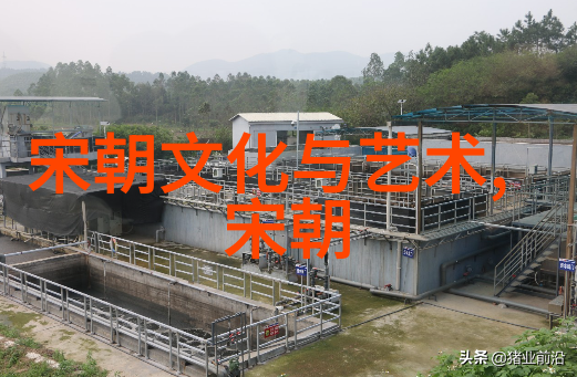 宋朝周边国家概览从辽金到西夏的纷争与和平