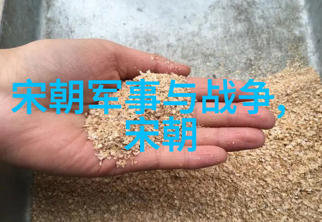 清理门户明朝末年宗室的政治地位变化
