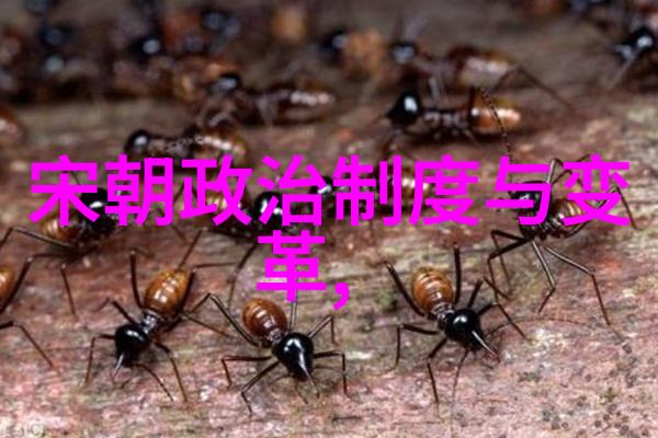 描写元朝繁华的诗句-金风玉尘元代盛世诗篇中的璀璨