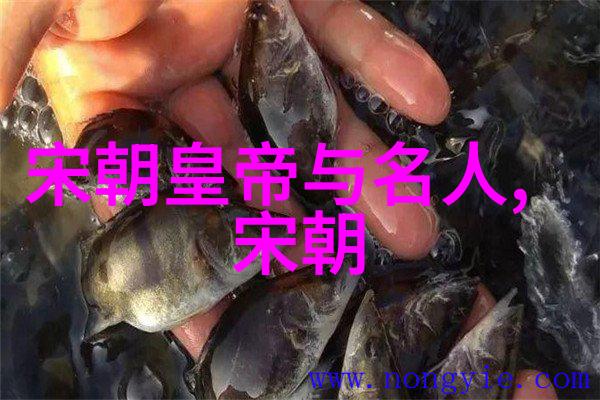 河南豫剧穆桂英挂帅陈宪章导演工作者兼剧本大师