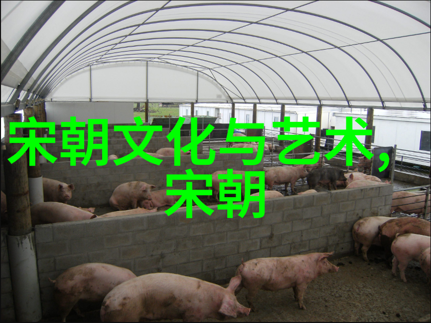 中国5000年的发展中有哪些关键时期和事件