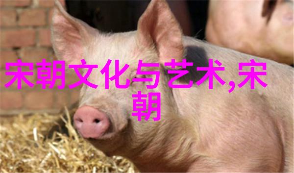 唐少帝与唐朝豪放女的物品故事完整版