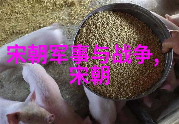 龙腾九天中国历史朝代的绘卷