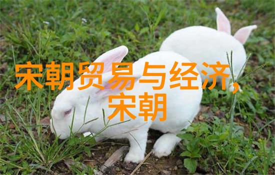 河南曲剧大全全集曲目中的朱桂芹豫剧旦行演员的精彩篇章