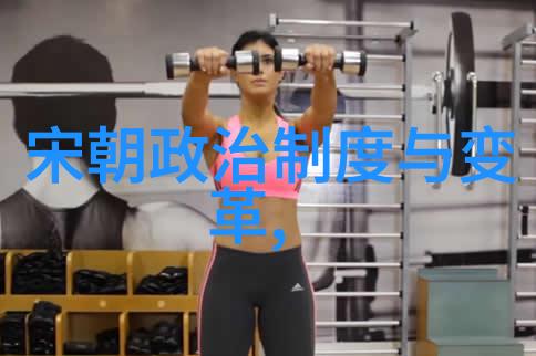 明朝那些事儿百科揭秘皇权斗争与社会变迁的全方位指南