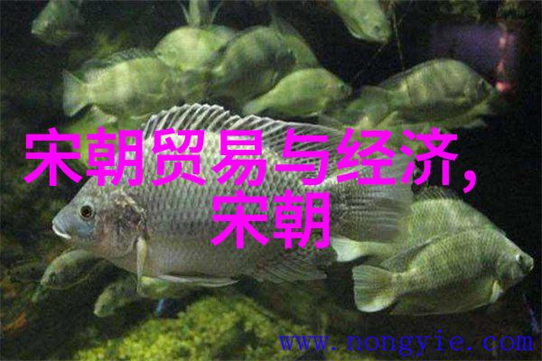 勇士统帅大明战神解读朱祁镇多面角色