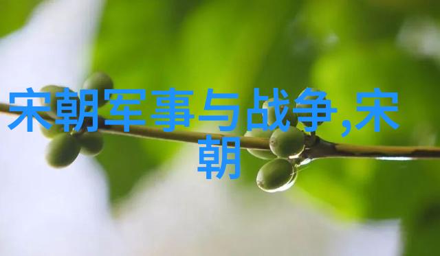 明朝历史一段古老帝国的英语翻译探索