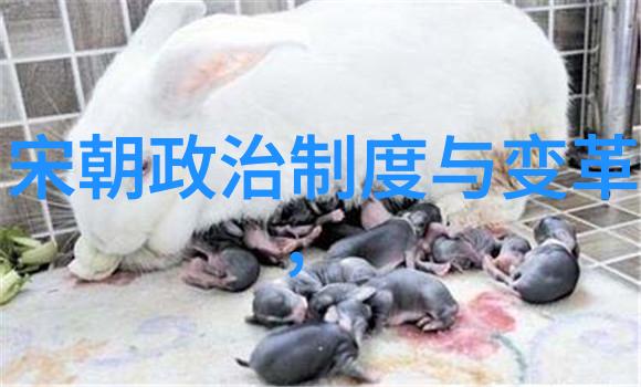 战鼓回响元朝边疆的孤鸿呼唤