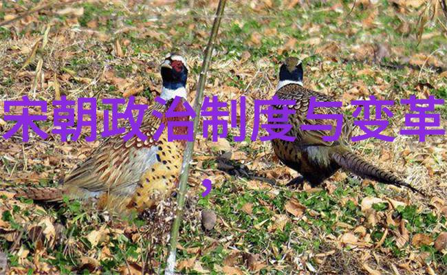 好看的元朝历史-辉煌盛世探秘元代宫廷与民间美学