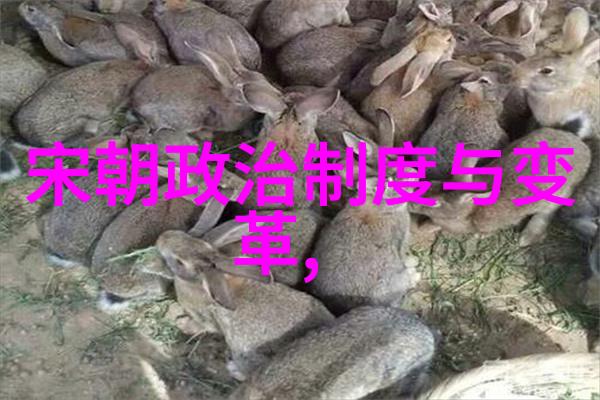 李世民的电视剧钱惕明