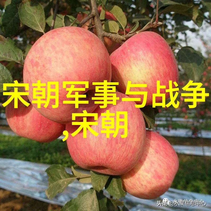 明朝那些事儿全文阅读历史小说网游之中国明朝时期的故事